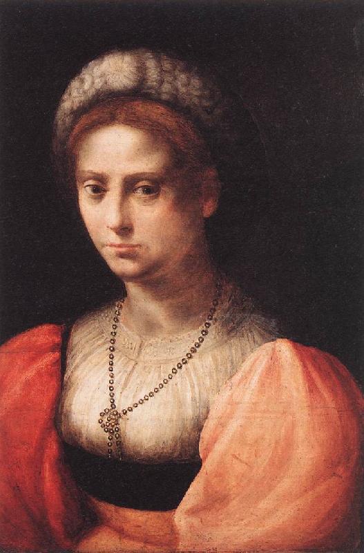 PULIGO, Domenico Portrait of a Lady agf Sweden oil painting art